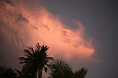 C5D_109490