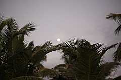 C5D_109493