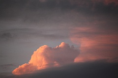 C5D_109495