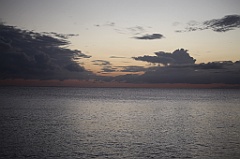 C5D_109498