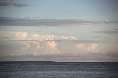 C5D_110088