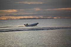 C5D_110090
