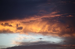 C5D_110144