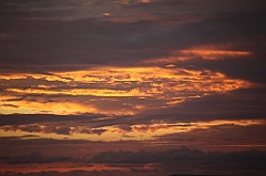 C5D_110149