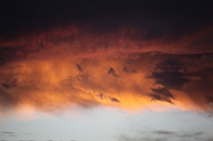 C5D_110155
