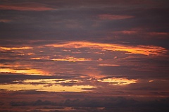 C5D_110170