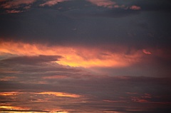 C5D_110179