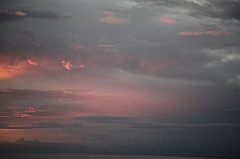 C5D_110180