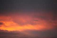 C5D_110182