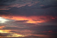 C5D_110185