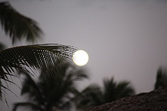 C5D_110189
