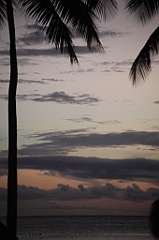 C5D_110196