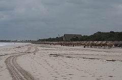 Cuba_0188