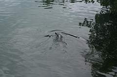Cuba_0267