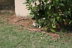 Cuba_0295