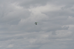 Cuba_0443