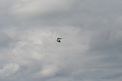 Cuba_0445