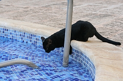 Cuba_0547