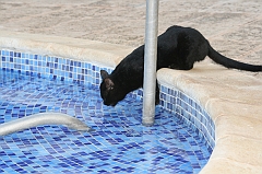 Cuba_0548
