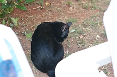 Cuba_0549
