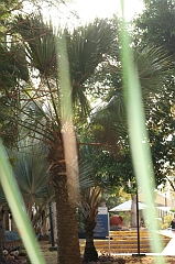 Cuba_0556