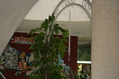 Cuba_0567